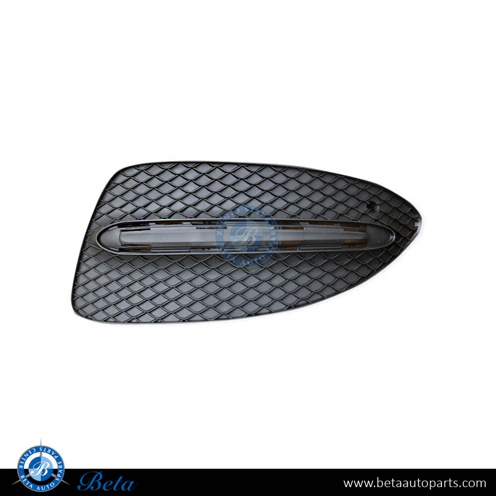 Left Side Front Bumper Lower Grille Night Package for Mercedes B-Class W246 2015-2018 models, Part Number 2468852722 Left Side Front Bumper Lower Grille Night Package for Mercedes B-Class W246 2015-2018 models, Part Number 2468852722